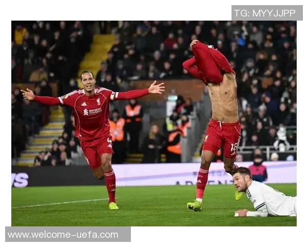 富勒姆就维尔茨争议进球向裁判公司提出质疑引发热议 富勒姆就维尔茨争议进球向裁判公司提出质疑引发热议